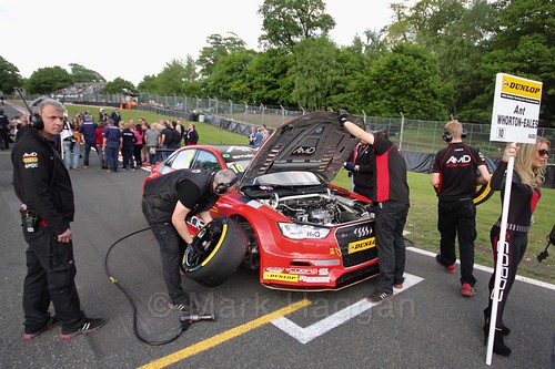 Ant Whorton-Eales on the grid at Oulton Park, May 2017