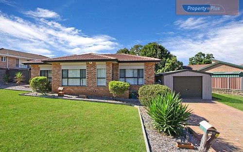 24 Mustang Avenue, St Clair NSW