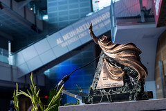 2017 Al Neuharth Award