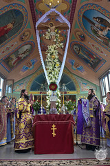 Cross Procession in honor of the Kalynivka Miracle / Крестный ход в память о Калиновском чуде (54) 08.07.2017