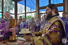 Cross Procession in honor of the Kalynivka Miracle / Крестный ход в память о Калиновском чуде (56) 08.07.2017