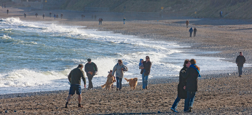 KILLINEY BEACH AS RECOMMENDED BY NINE OUT OF TEN DOGS [MARCH 2008]-129529