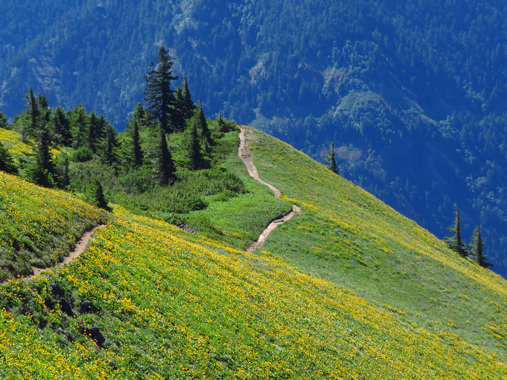 Dog Mountain Trail in Washington by Landscapes in The West, on Flickr