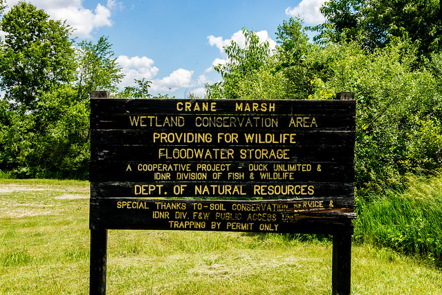 Marsh Lake - Crane Marsh Wetland Conservation Area - June 20, 2017
