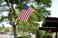 Anglų lietuvių žodynas. Žodis american flag reiškia amerikos vėliavos lietuviškai.