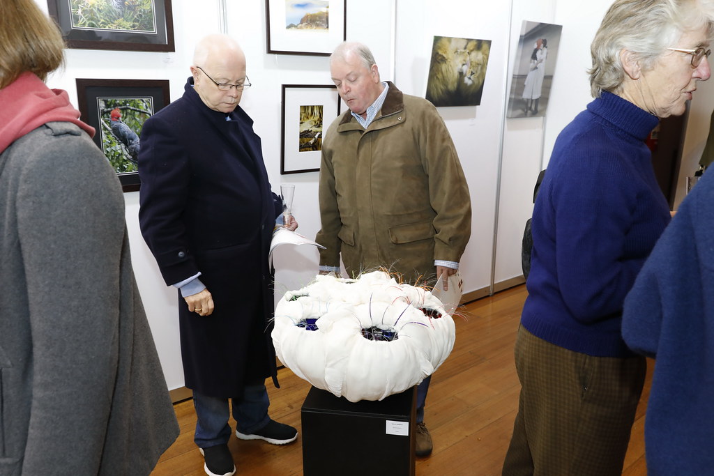 ann-marie calilhanna- bent art opening @ wentworth falls _091