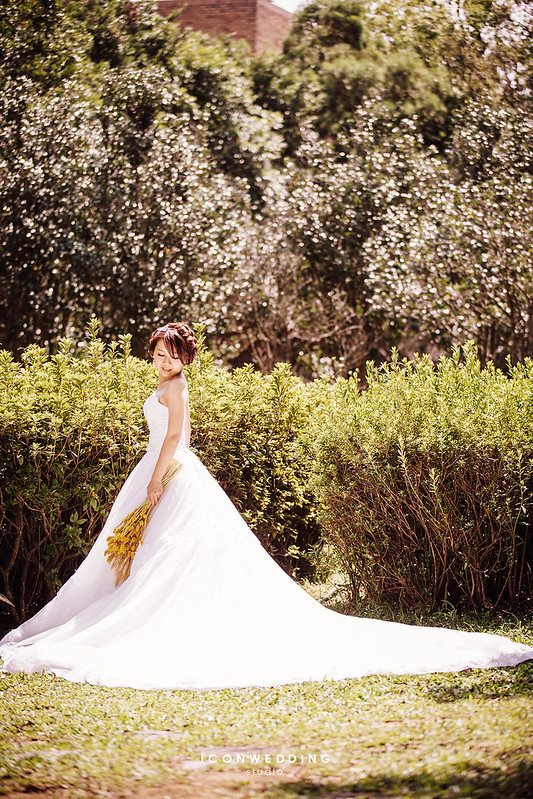 陽明山芒草原,擎天岡,婚紗照,拍婚紗,婚紗攝影