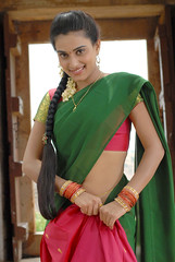 Indian Actress DIMPLE CHOPADE Hot Photos-Set-1 (15)