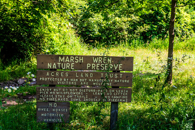 Marsh Wren Nature Preserve - July 3, 2017