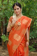 Indian Actress SADA Photos Set-3 (10)