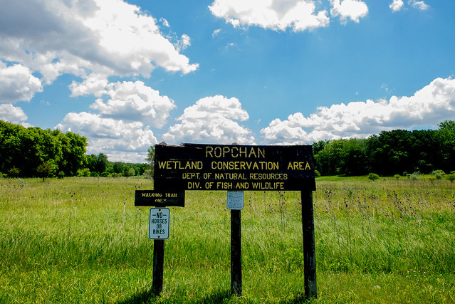 Ropchan Wetland Conservation Area - June 20, 2017