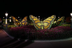 Butterfly Topiaries • <a style="font-size:0.8em;" href="http://www.flickr.com/photos/28558260@N04/34431130610/" target="_blank">View on Flickr</a>