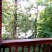 View from the back porch of a Briggs Woods cabin outside Webster City Iowa