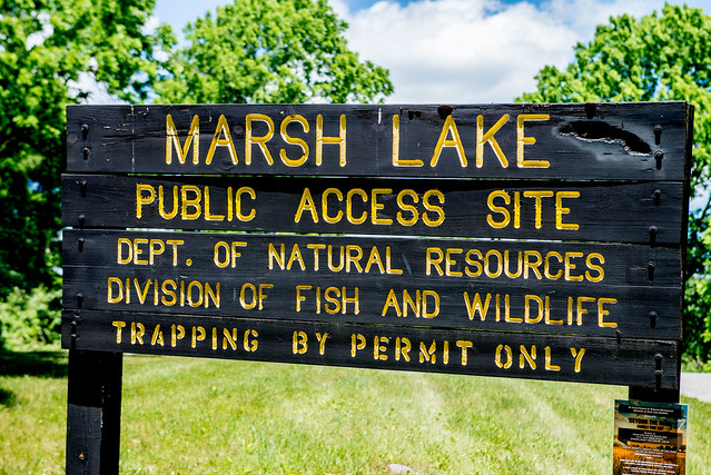 Marsh Lake - June 20, 2017