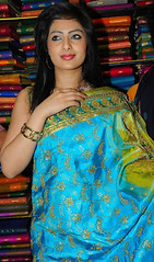 Indian Actress NIKESHA PATEL Hot Sexy Images Set-2 (35)