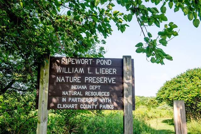 Pipewort Pond Nature Preserve - July 4, 2017