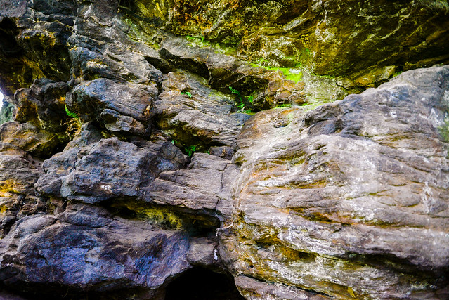 Black Rock Nature Preserve - May 29, 2017