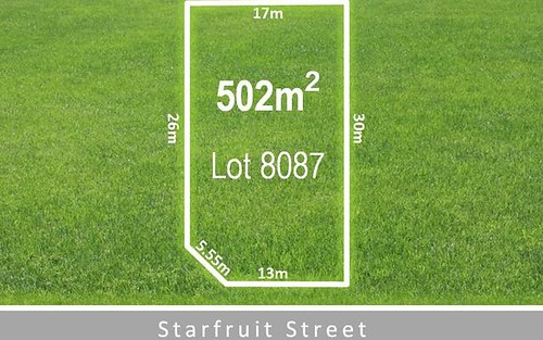 11 Starfruit Street, Denham Court NSW