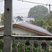 Belmopan Downpour 2
