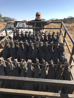 South Africa Bird Hunting 78