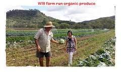 W18Organic produce farm run12
