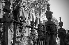 Cemetery Fence
