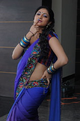 Indian Actress Haripriya Hot Sexy Images Set-1 (89)