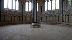 Wells Cathedral, chapter house view