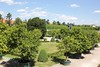 Gärten Schloß Schönbrunn • <a style="font-size:0.8em;" href="http://www.flickr.com/photos/25397586@N00/35805850170/" target="_blank">View on Flickr</a>