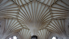 Wells Cathedral, chapter house vaulting