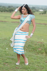 Indian Actress Haripriya Hot Sexy Images Set-1 (17)