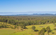 324 Ebsworth Fire Trail Road, Clarence Town NSW