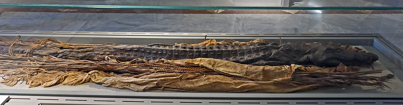 Crocodile mummy - Egyptian exhibition at the National Archaeological Museum, Naples, Italy<br/>© <a href="https://flickr.com/people/38743501@N08" target="_blank" rel="nofollow">38743501@N08</a> (<a href="https://flickr.com/photo.gne?id=35911919502" target="_blank" rel="nofollow">Flickr</a>)
