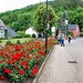 Bild 28 (Sommerausfahrt in die Eifel nach Vogelsang am Urftsee und nach Hausen) nicht gefunden