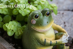 Have a Great Day!