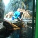 Feeding the Otters in Osaka Aquarium Kaiyukan