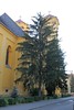 Eger • <a style="font-size:0.8em;" href="http://www.flickr.com/photos/25397586@N00/36157110136/" target="_blank">View on Flickr</a>