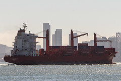195/365  CAP PALMERSTON  Container Ship  IMO 9344643
