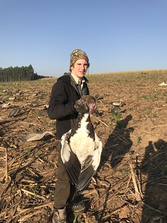 South Africa Bird Hunting 42