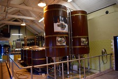 Dingle Brewing Company