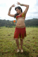 Indian Actress Ragini Dwivedi Images Set-1 (24)
