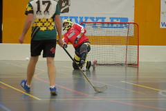 uhc-sursee_sursee-cup2017_fr_039