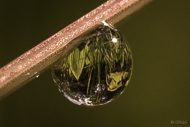 World in a drop