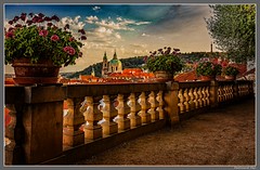 Praha - Prague_The palace gardens under the Prague Castle_Praha 1 Malá Strana_Czechia
