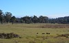 Lot 217 Redground Road, Crookwell NSW