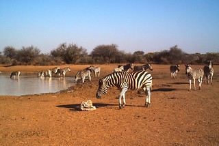 Namibia Luxury Hunting Safari 51
