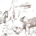 WG187, nimbali, wilde dieren