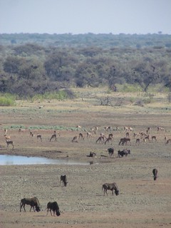 Namibia Luxury Hunting Safari 109