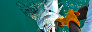 Costa Rica Fishing Resort 13