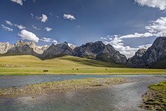 Summer pasture along the Kurumduk River
